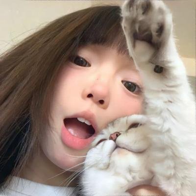 寻狗启事
